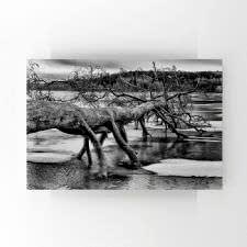Siyah Beyaz Göldeki Ağaç Tablosu