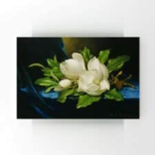 Martin Johnson Heade - Giant Magnolias on a Blue Velvet Cloth Tablosu