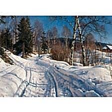 Peder Mork Monsted - Sunlit Winter Landscape Tablosu