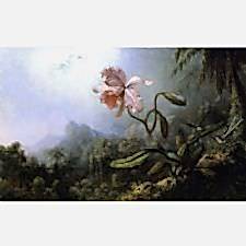 Martin Johnson Heade - Sinek Kuşları ve Orkide Tablosu